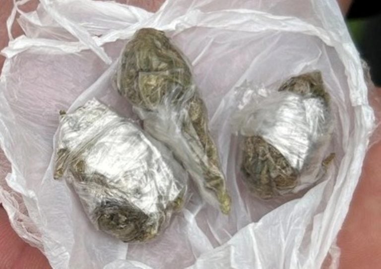 policija tk izvrsila je akciju kojom prilikom je pronadjena droga a kontrolisano je vise od 240 osoba i 180 vozila