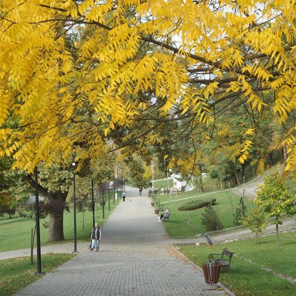 Slana Banja u žarkim jesenjim bojama (Foto)