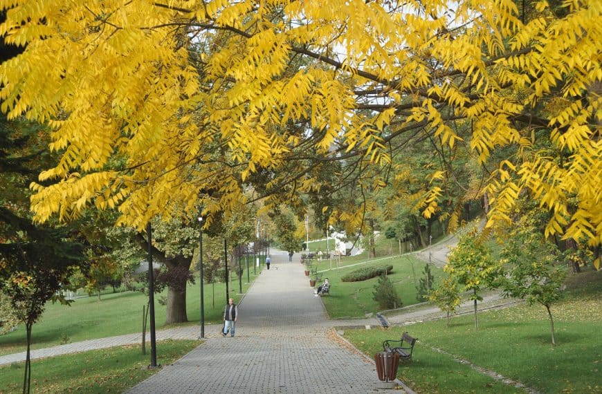 Slana Banja u žarkim jesenjim bojama (Foto)