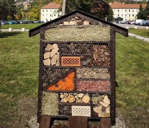 Hotel za kukca u kampusu UNSA