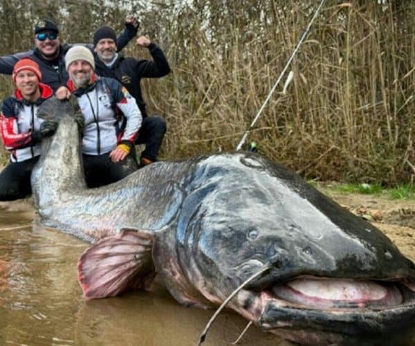 ribolovci na jugu poljske ulovili kapitalca i oborili svjetski rekord