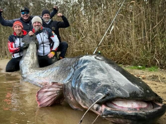 ribolovci na jugu poljske ulovili kapitalca i oborili svjetski rekord