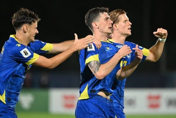 Fudbal, repka, BiH, Barbarez