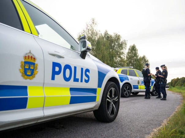 Svedska, placeni ubica, 12-godisnjak