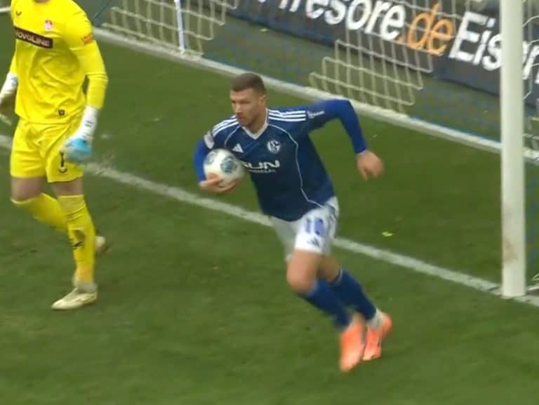 fudbal, Dzeko, Schalke 04