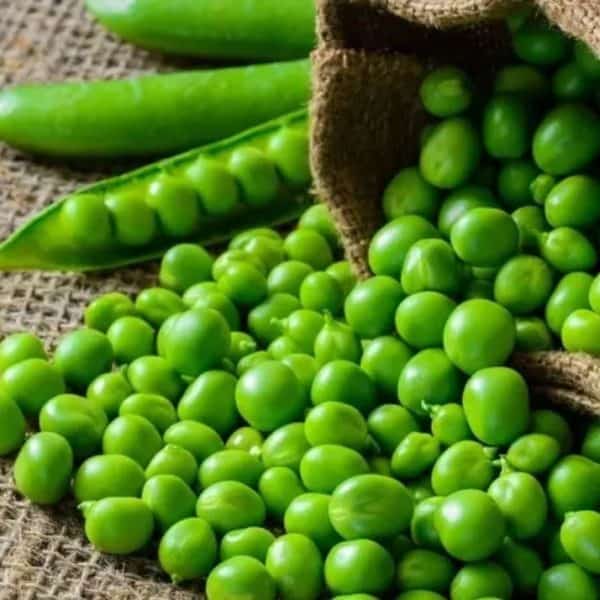 jedino povrce koje je bolje zamrznuto od svjezeg je grasak