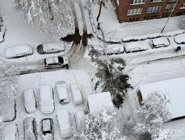 Tragedija na Grbavici: Preminula žena na koju je palo stablo