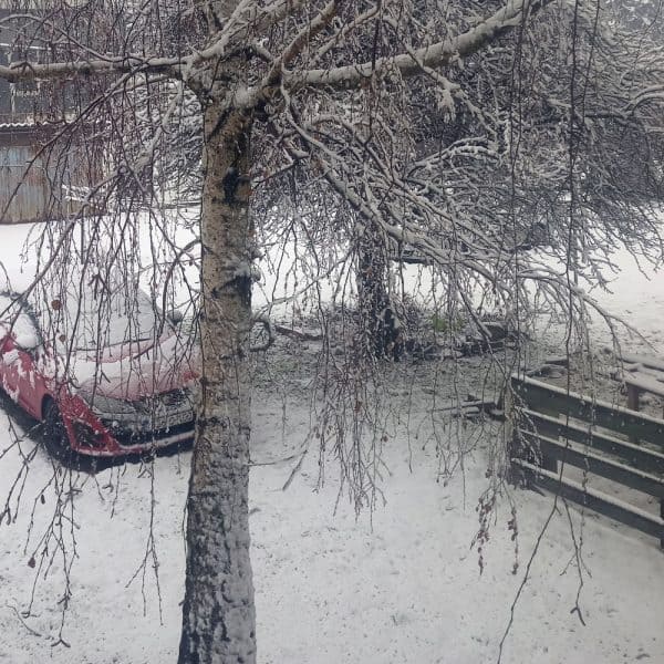 danas ce u vecem dijelu bih padati snijeg u nizinama se ocekuje novih 10 do 25 centimetara dok je na planinama moguce i do 40 centimetara