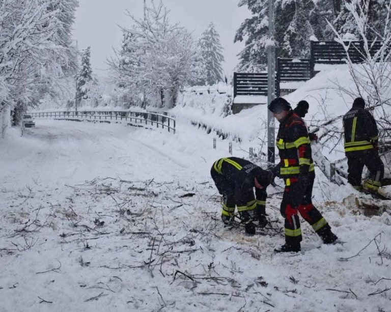 nekoliko intevencija imali su danas tuzlanski vatrogasci na uklanjanju grana i drveca koje je obilan snijeg oborio