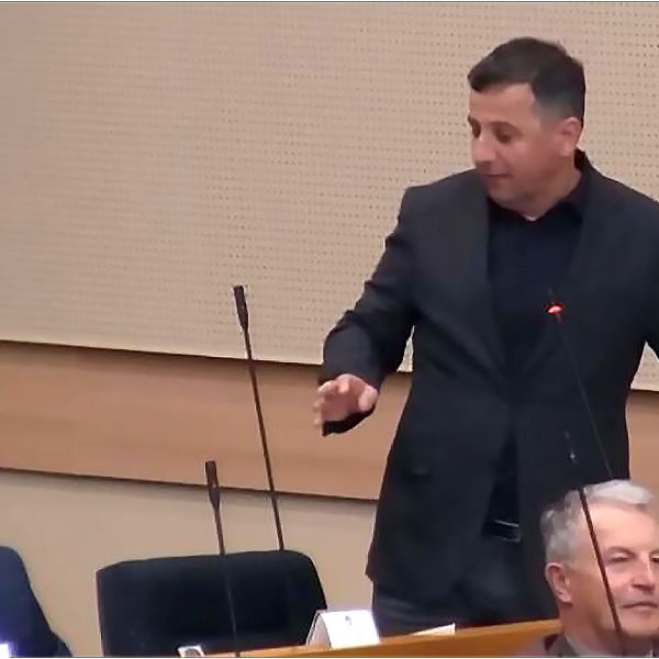 (Nebojša Vukanović na sjenici NSRS - Screenshot)