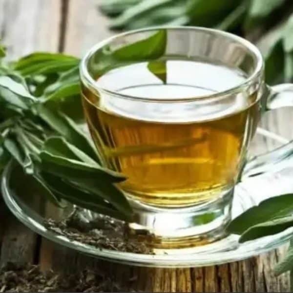 kadulja zdrava biljka posebno za usnu supljinu