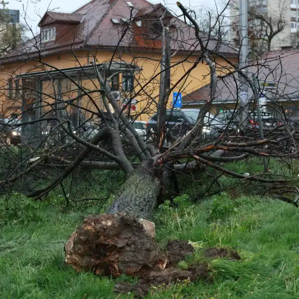 Nezapamćeno nevrijeme ostavilo 18.000 domaćinstava bez električne energije