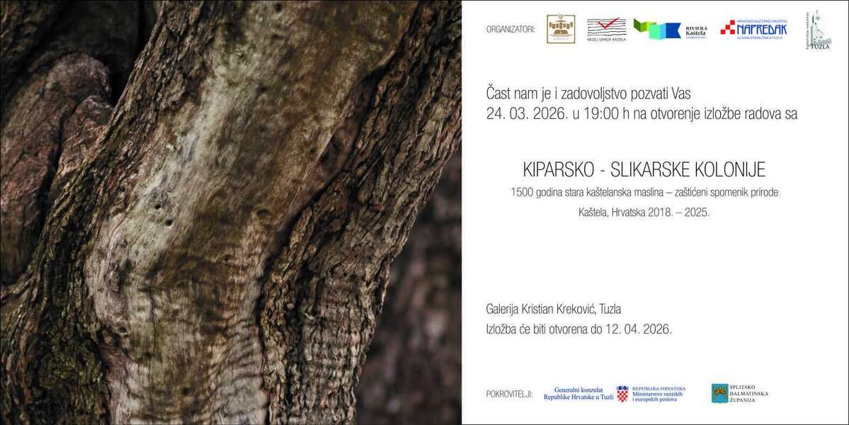 Uskoro u Tuzli: Izložba “1500 godina stara kaštelanska maslina”