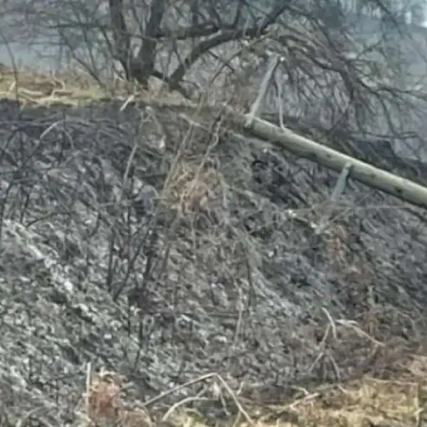 Paljenje njive izazvalo kolaps mreže, više naselja u bh. općini ostalo bez struje