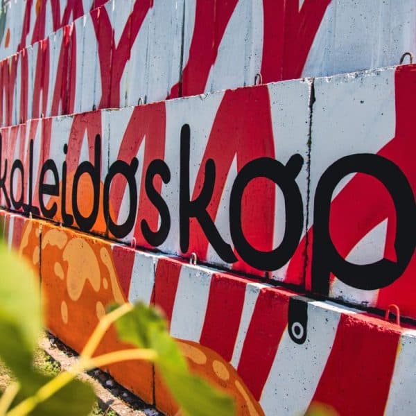 sesnaesti po redu festival umjetnosti mladih kaleidoskop bit ce odrzan u tuzli od 28 jula do 2 augusta