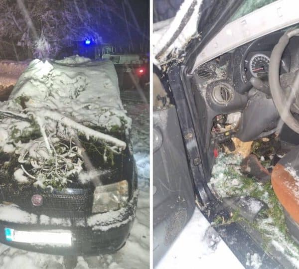 Evakuirano 7 osoba sa planine, vatrogasci upozoravaju na neodgovornost