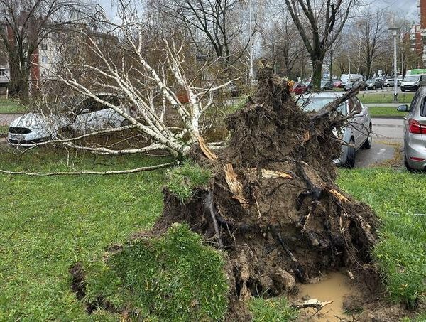 Nevrijeme u Zagrebu: Vatrogasci odradili 845 intervencija