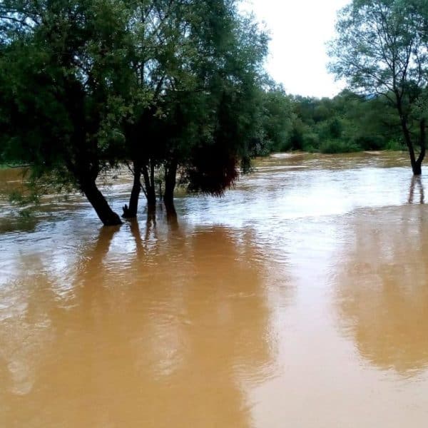 FUCZ: Vodostaji u porastu, poplavljeni stambeni objekti u Srebreniku i Živinicama