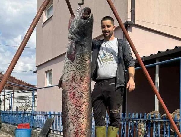 Ulovio soma od 2,5 metra i prokomentarisao: Nisam nikad vidio ovoliku ribu