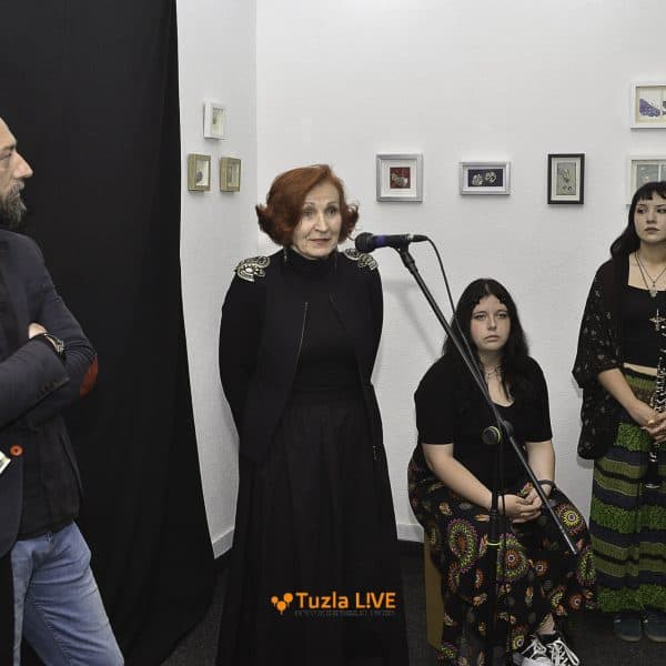 U Centru za kulturu otvorena izložba “Rasanica izluzije” Mirjane Antić (Foto)