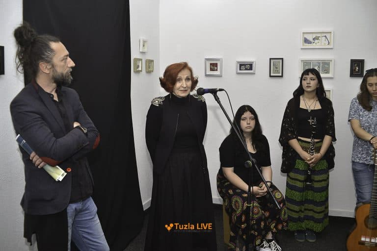 Izlozba, Rasanica iluzije, Mirjana Antic