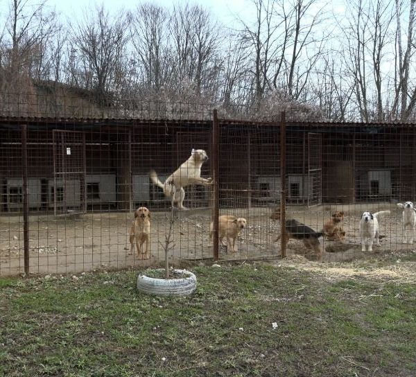 Azil Nirina u Tuzli organizuje dan otvorenih vrata: Građani pozvani na druženje i podršku