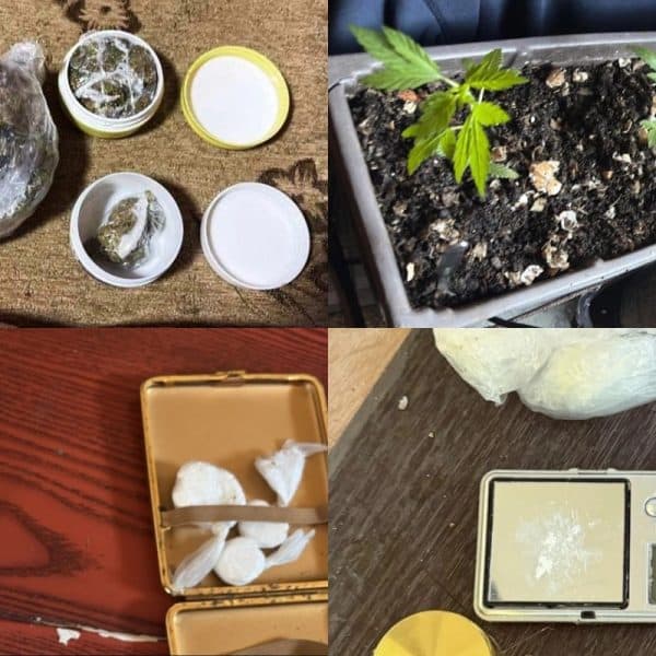sluzbenici uprave policije mup-a tk izvrsili su pretrese na vise lokacija u tuzli banovicima i dobopj istioku prilikom kojih je pronadjena droga