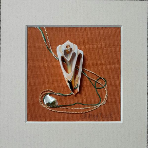 Novi život školjke: Svijet u minijaturi Mirjane Antić, 17. aprila u Tuzli (Foto)