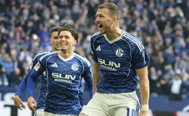 Schalke 04, Dzeko, Muslic