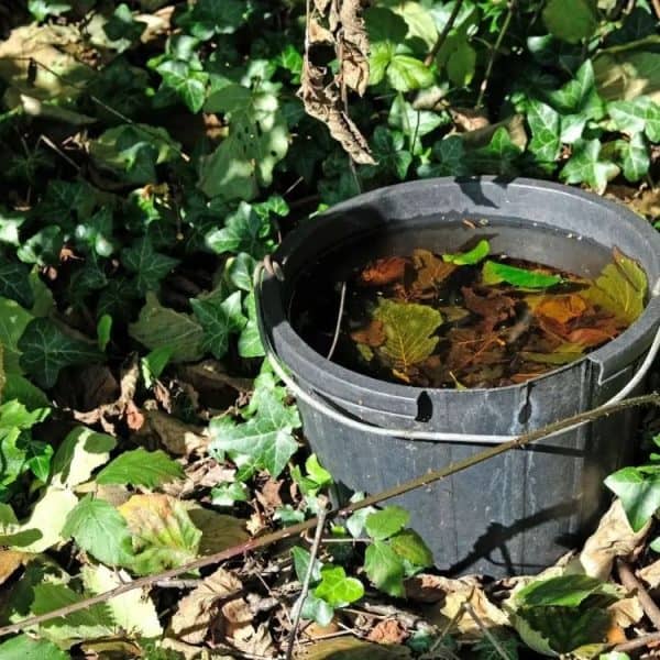 kanta propasti za komarce odlicno je rjesenje da se otarasite ovih doisadnih insekata