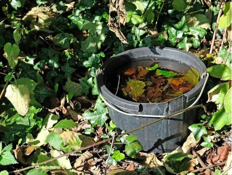 kanta propasti za komarce odlicno je rjesenje da se otarasite ovih doisadnih insekata