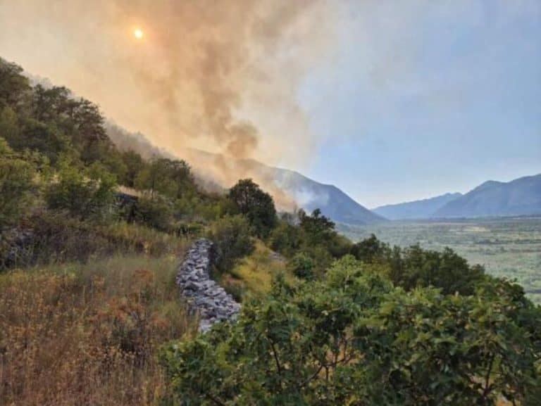 nakon naporne borbe koja je trajala pet dana vatrogasci su konacno uspjeli lokalizovati pozar na podrucju trebinja koji je ugrozavao i stambena naelja