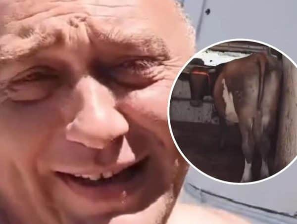 jedan stocar iz bih na more u neum je poveo i kravu