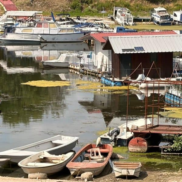 Vodostaj Dunava rekordno nizak i sve je više pliovila zarobljenih na obali