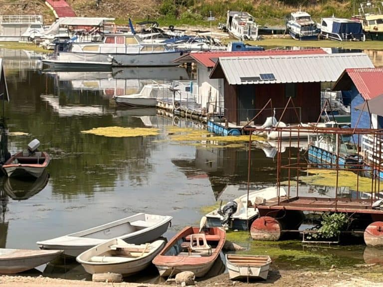 Vodostaj Dunava rekordno nizak i sve je više pliovila zarobljenih na obali