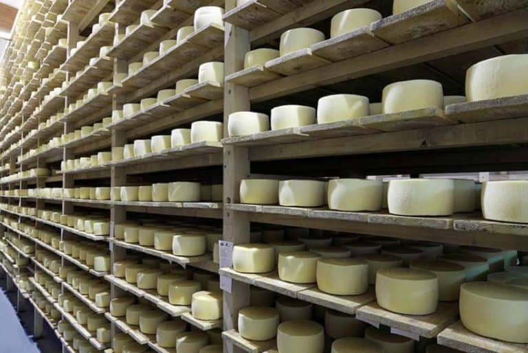 Mljekara Livno najrenomiraniji je proizvođač livanjskog sira u BiH, a marka tog proizvoda cijenjena je i u svijetu