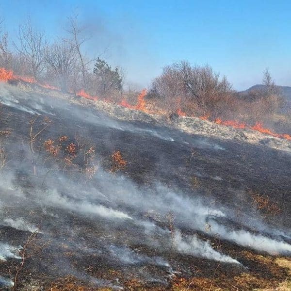 Civilna zaštita Tuzle: Zbog visokog rizika od požara kazne za paljenje vatre do 1.500 KM