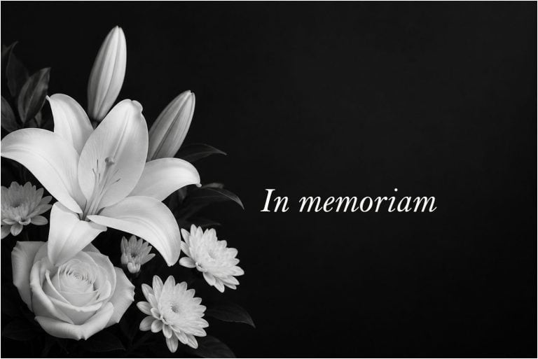 In memoriam, Husejnagic, Mulabegovic
