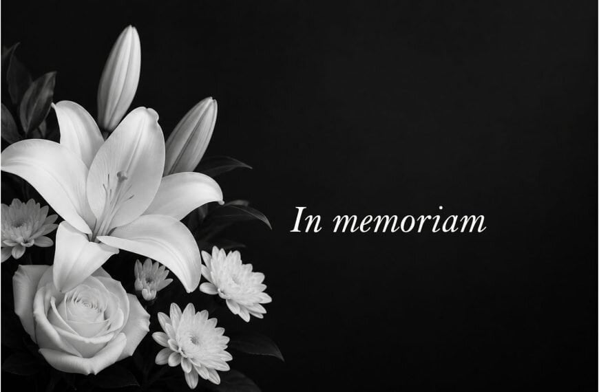 In memoriam, Husejnagic, Mulabegovic