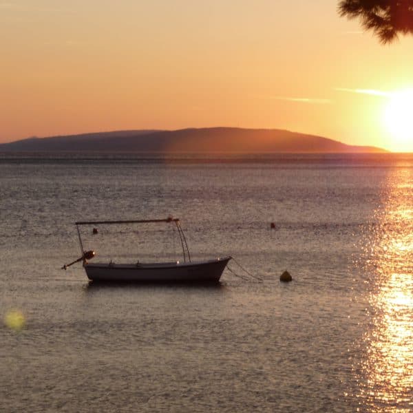 Alarm naučnika: Jadran kakav poznajemo polako nestaje