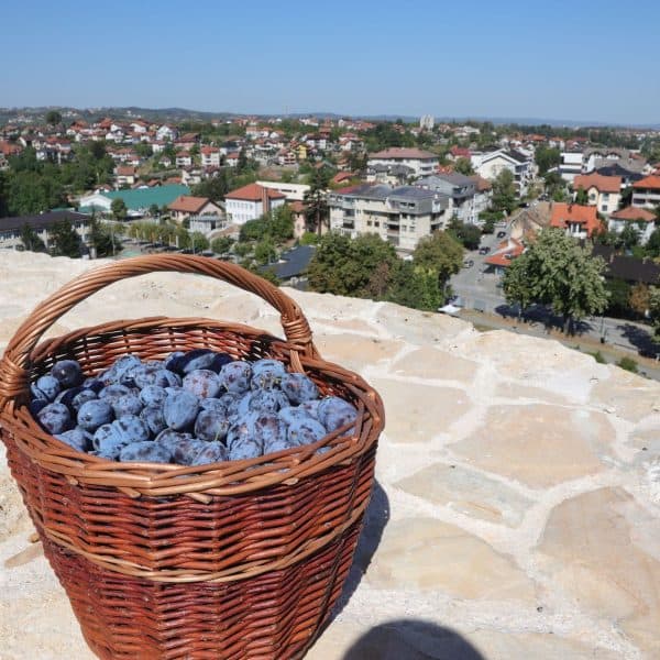 U Gradačcu otvoren 53. Sajam šljive (Foto)