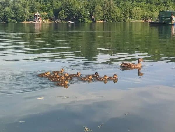 Presušuju izvori pitke vode