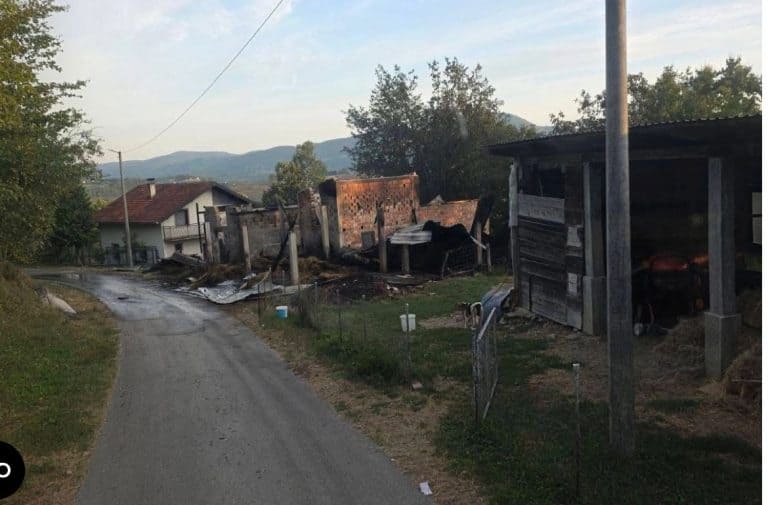 3o ovaca i 6 koa sradalo u poaru koji je ahvaio imanje u koor varosi