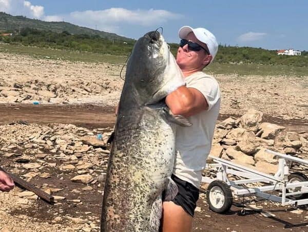 Na Bilećkom jezeru uhvaćen som dug 2 metra, težak 50 kg