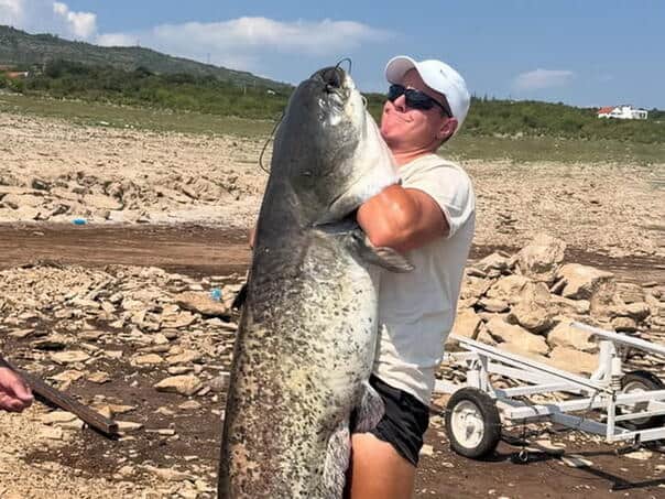 Na Bilećkom jezeru uhvaćen som od 50 kg, dug 2 metra
