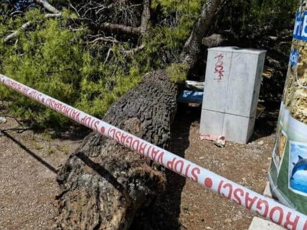 Na crikvenickoj plazi palo stablo i povrijedilo cetiri osobe