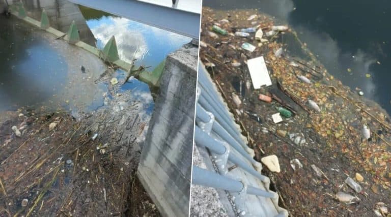 analiza vode nije otkrila uzrok pomora ribe u rijeci spreci koji zebiljezen krajem augistua na podrucju gracanice