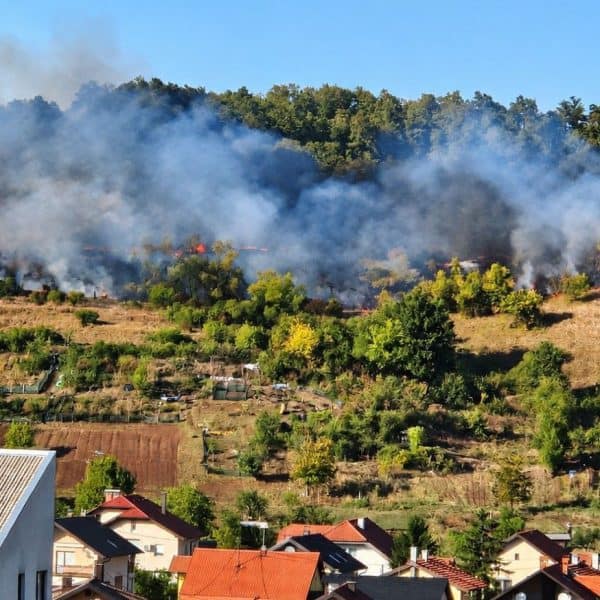 veliki poar ahvatio je nisko rastinje u ttuzlanskom naselju sepetari intervenisali vatrogasci