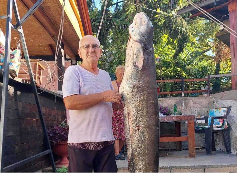 abdulah dzinic zijo poznati ribolovac iz tuzle na modrackom jezeru ulovio soa teskog 54 kilograma