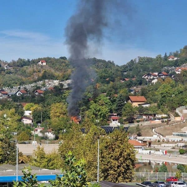pozar zahvatio dio objekta u blizini panonskih jezera u tuzli